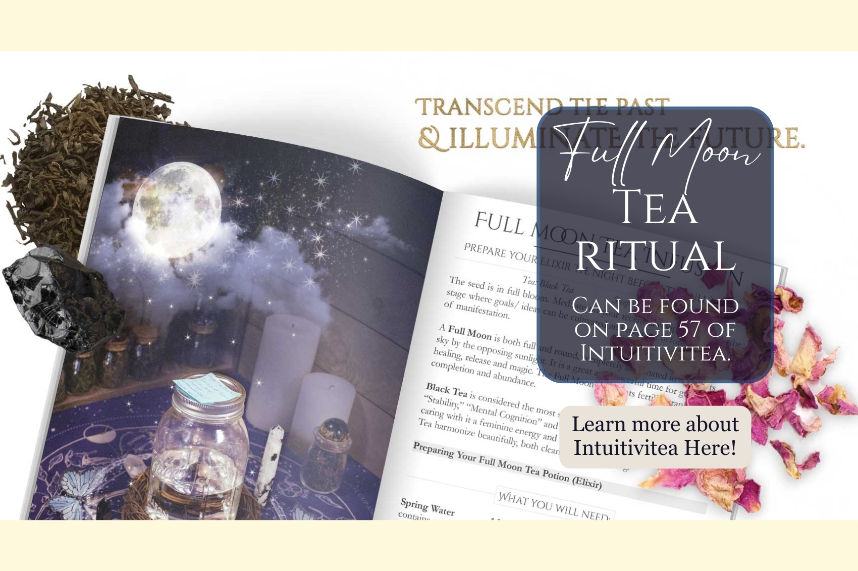 Complete Intuitivitea Divination Kit – Includes casting cloth, guidebook, tea dice, and keepsake bag arranged together.